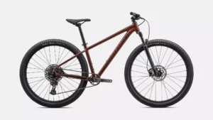 Rockhopper Expert 29 GLOSS RUSTED RED / SATIN RUSTED RED