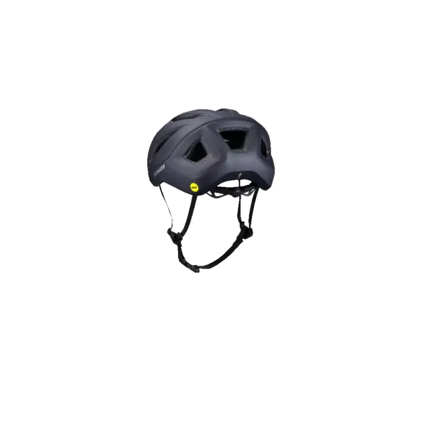 Specialized Search